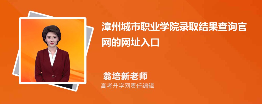 2024年漳州城职业学院高考录取结果查询官网网址入口