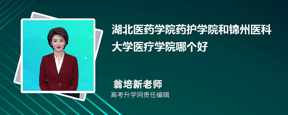 t(y)ˎW(xu)Ժˎo(h)W(xu)Ժ\t(y)ƴW(xu)t(y)W(xu)ԺĂ(g) 2024?jn)?sh)