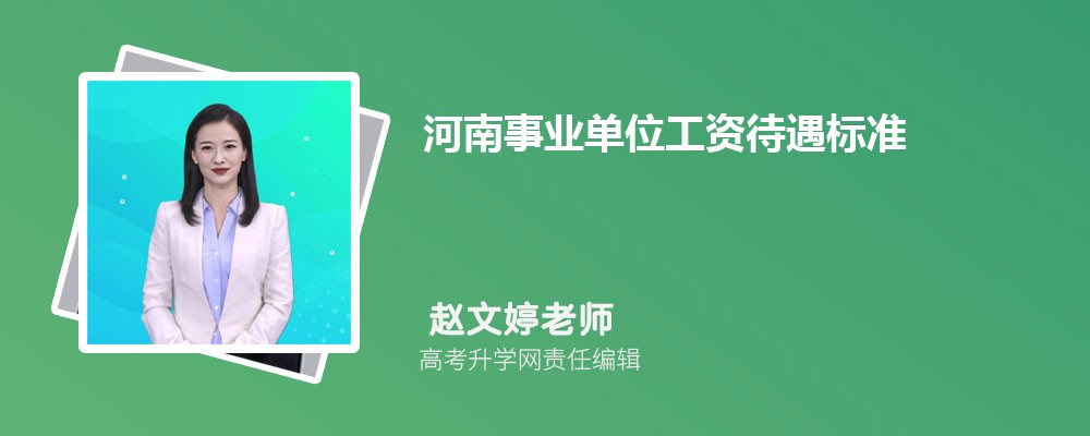 河南事业单位工资待遇标准包括哪些方面