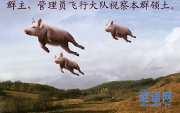 骂群主的话_骂群主的句子精选 骂群主的话_骂群主的句子精选