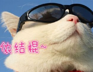苏州骂人的话大全 苏州话骂人方言 