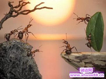 骂人的话大全 秒杀对方的骂人话 骂人的话大全 秒杀对方的骂人话