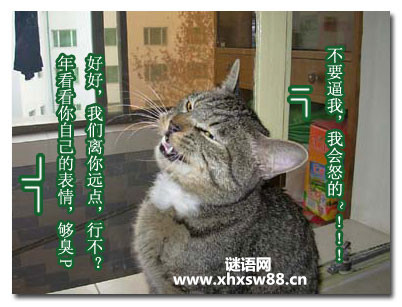 2018网络经典骂人语句 2018网络经典骂人语句