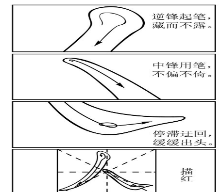 2024¸߿߿Ŀȵ㻰Ԥ(ôд)