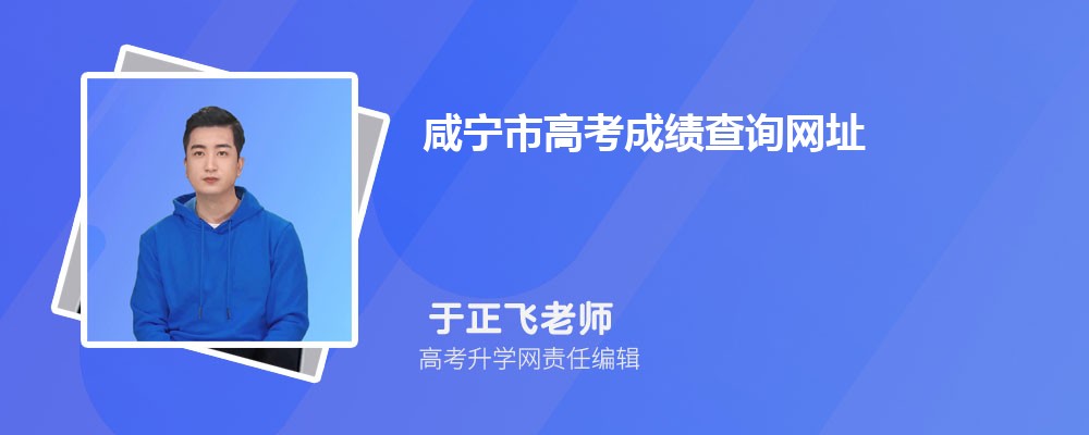 咸宁市高考成绩查询网址2024
